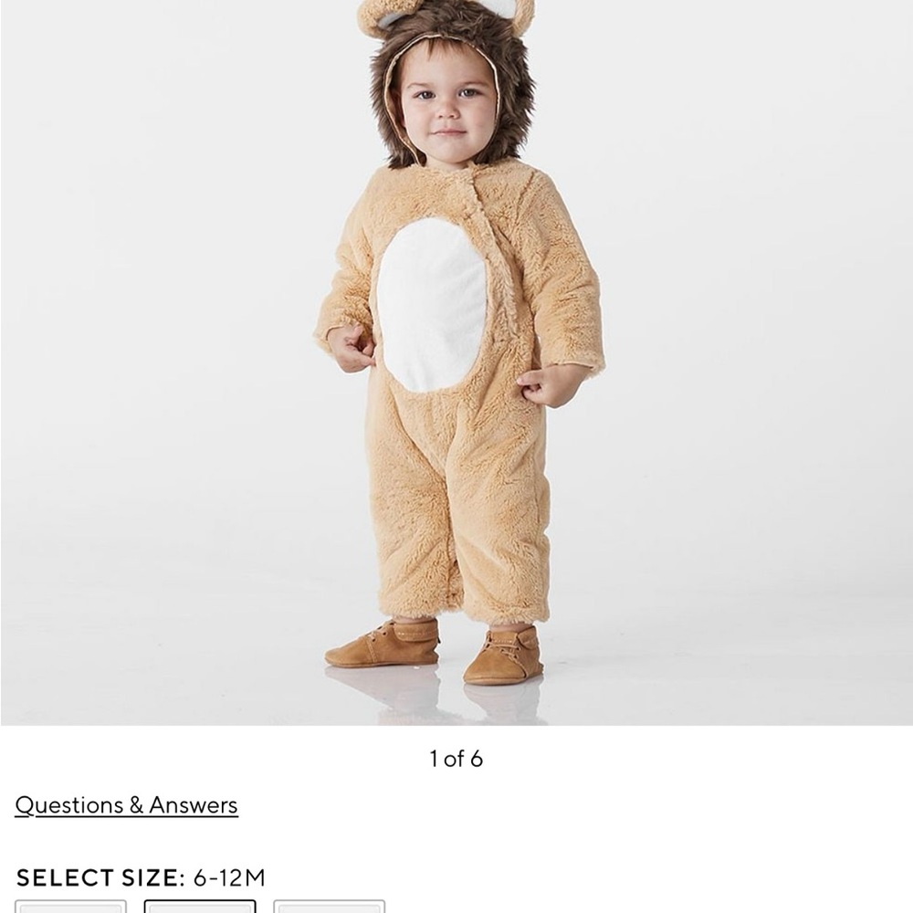 Pottery Barn 6-12M Baby Lion Costune